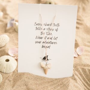 Ketting Haaientand Zand