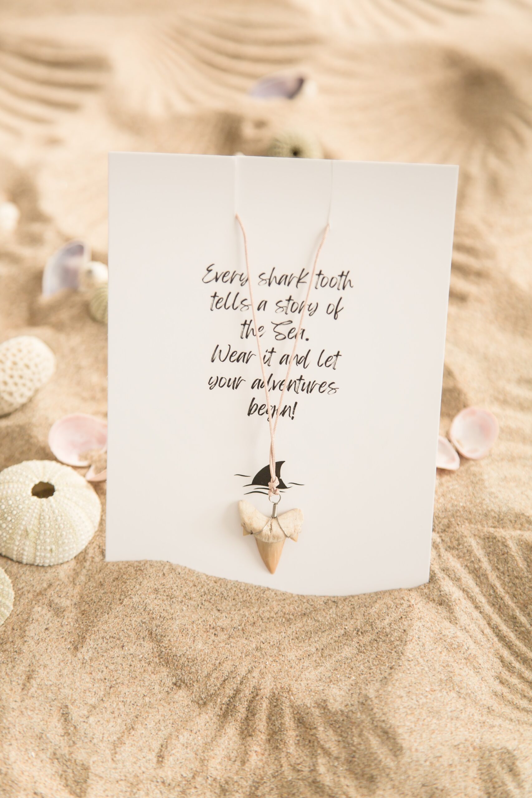 Ketting Haaientand Zand